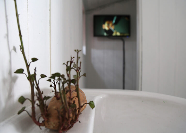 Tina Mamczur Nr 105 Environment Kleingarten 13