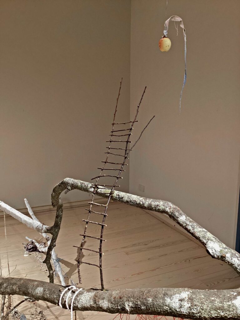 Tina Mamczur / A Nocturnal Patient / Installation Art / Tree
