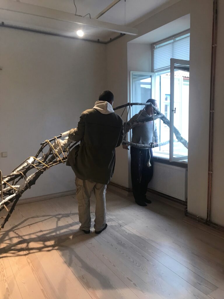 A Nocturnal Patient Installation
