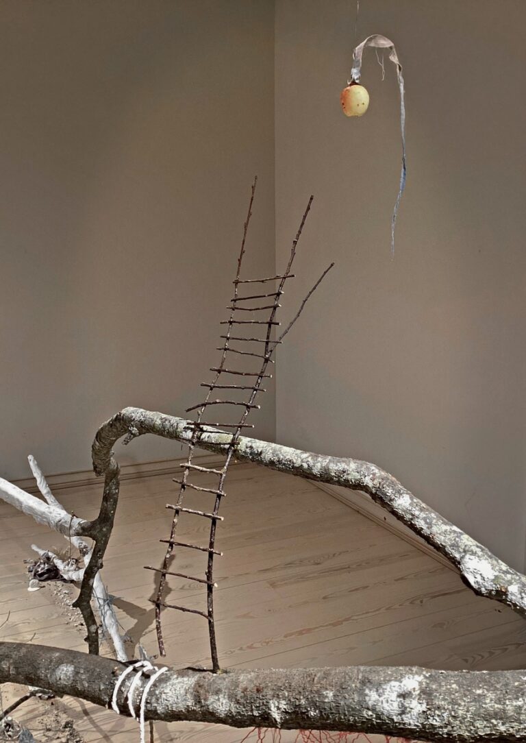 nocturnal patient apple 2