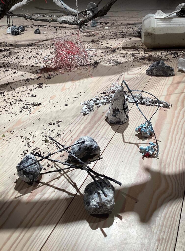 nocturnal patient detail